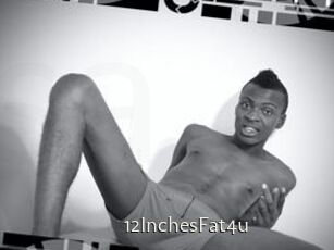 12InchesFat4u