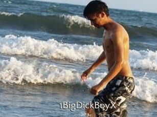 1BigDickBoyX