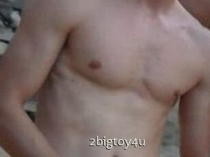 2bigtoy4u