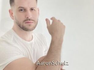 AaronSchulz