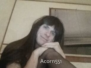 Acorn551