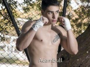 AdamBull