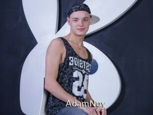 AdamNoy