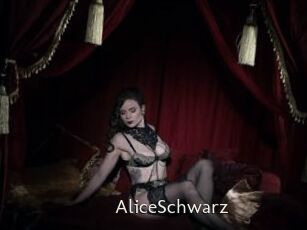 AliceSchwarz
