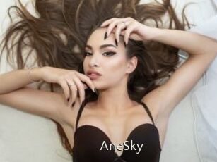 AneSky