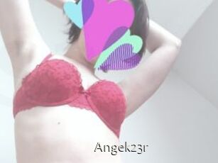 Angek23r