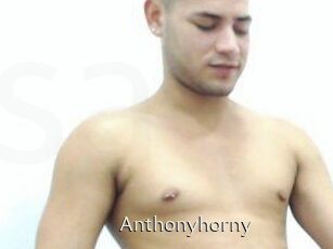 Anthonyhorny