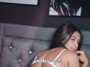 AriaBroke