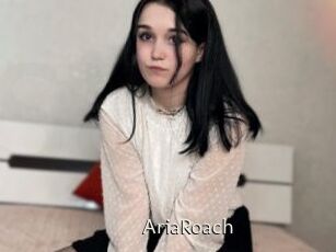 AriaRoach