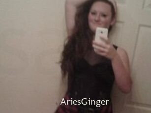 AriesGinger