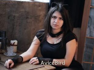AviceBird