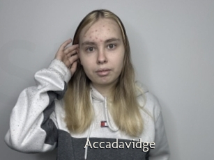 Accadavidge