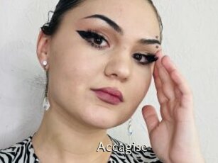 Accagise