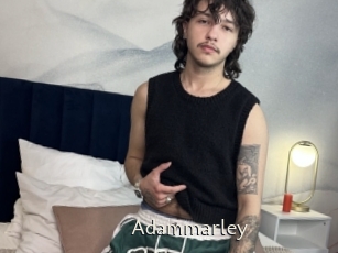 adammarley Sexe Annuaire