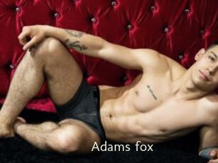 Adams_fox