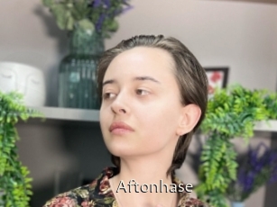 Aftonhase