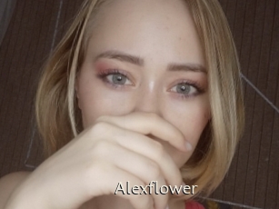 Alexflower