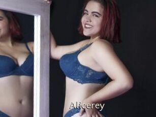 Alicerey