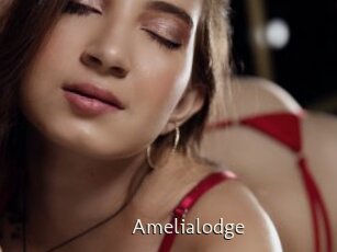 Amelialodge