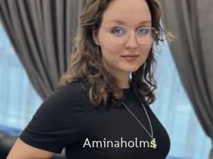 Aminaholms