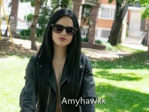 Amyhawkk