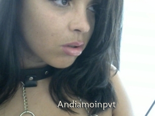 Andiamoinpvt