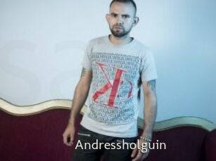 Andressholguin