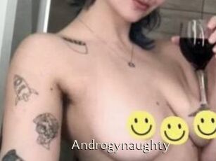 Androgynaughty