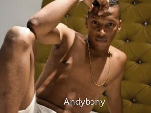 Andybony
