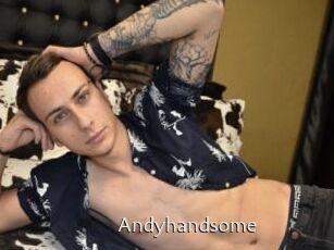 Andyhandsome