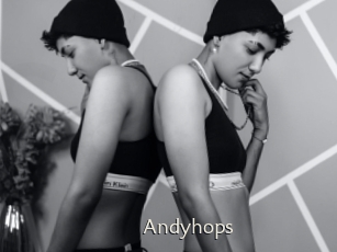 Andyhops