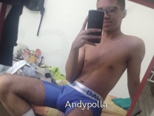 Andypolla