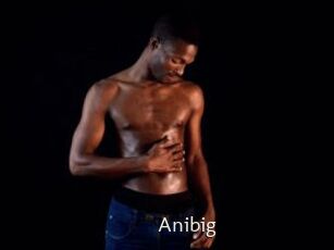Anibig