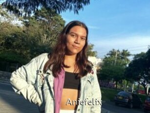 Aniefelix