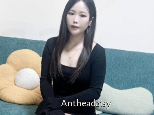 Antheadaisy