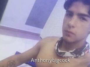 Anthonybigcock