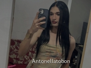 Antonellatobon