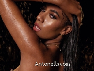 Antonellavoss