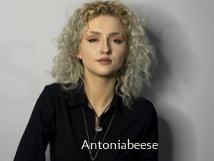 Antoniabeese