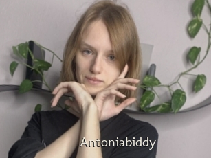 Antoniabiddy