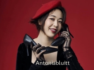 Antoniabluitt