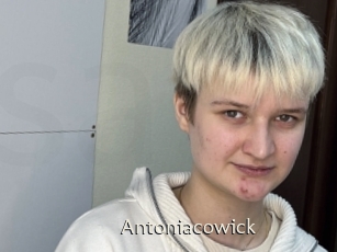 Antoniacowick