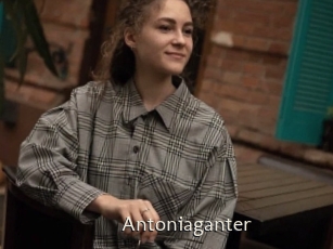 Antoniaganter