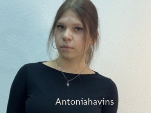 Antoniahavins