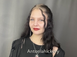Antoniahickory