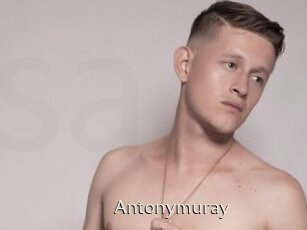Antonymuray