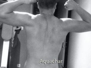 Aquachar