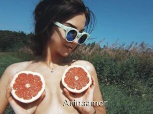 Arinaamor