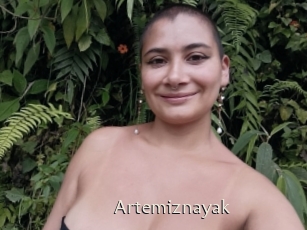 Artemiznayak