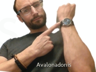 Avalonadonis